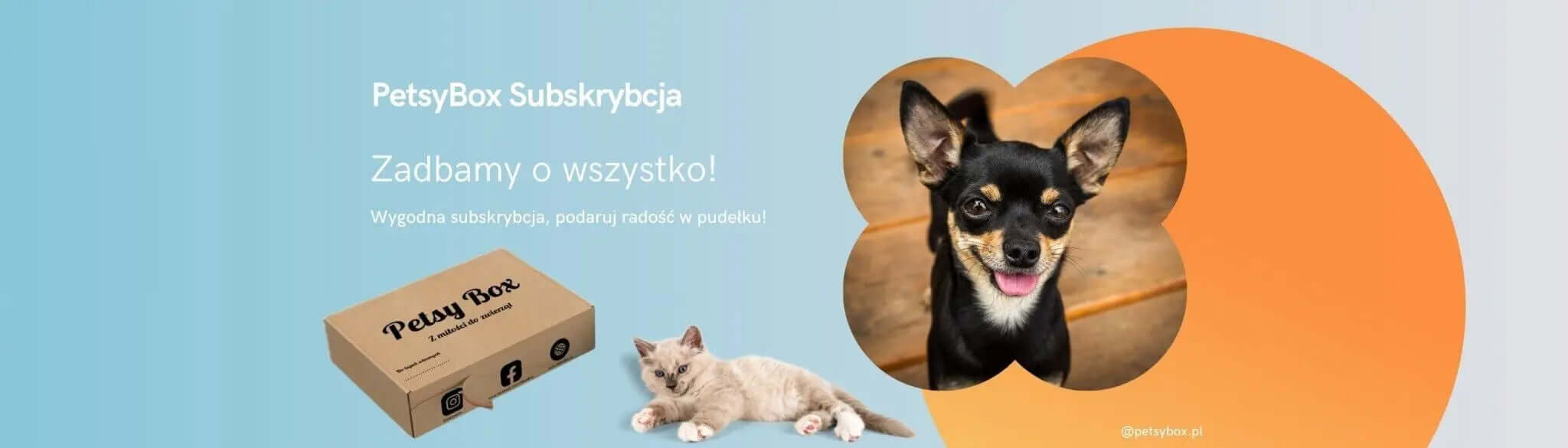 Pudełko PetsyBox z napisem Subskrybcja, obok kot leżący na boku. Na kółku obok wizerunek małego psa na drewnianej podłodze.