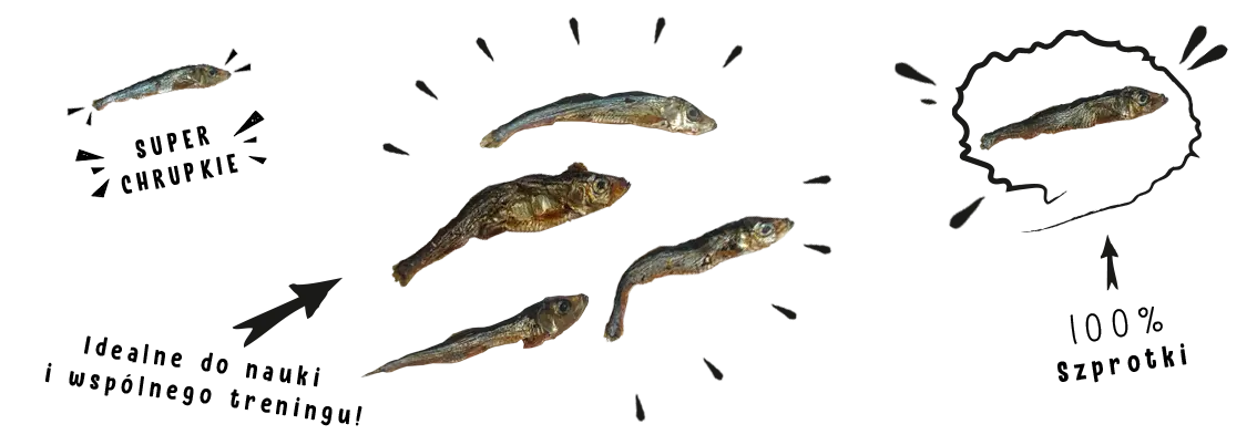 e57f4ac85ab55536e7435849780e35d2