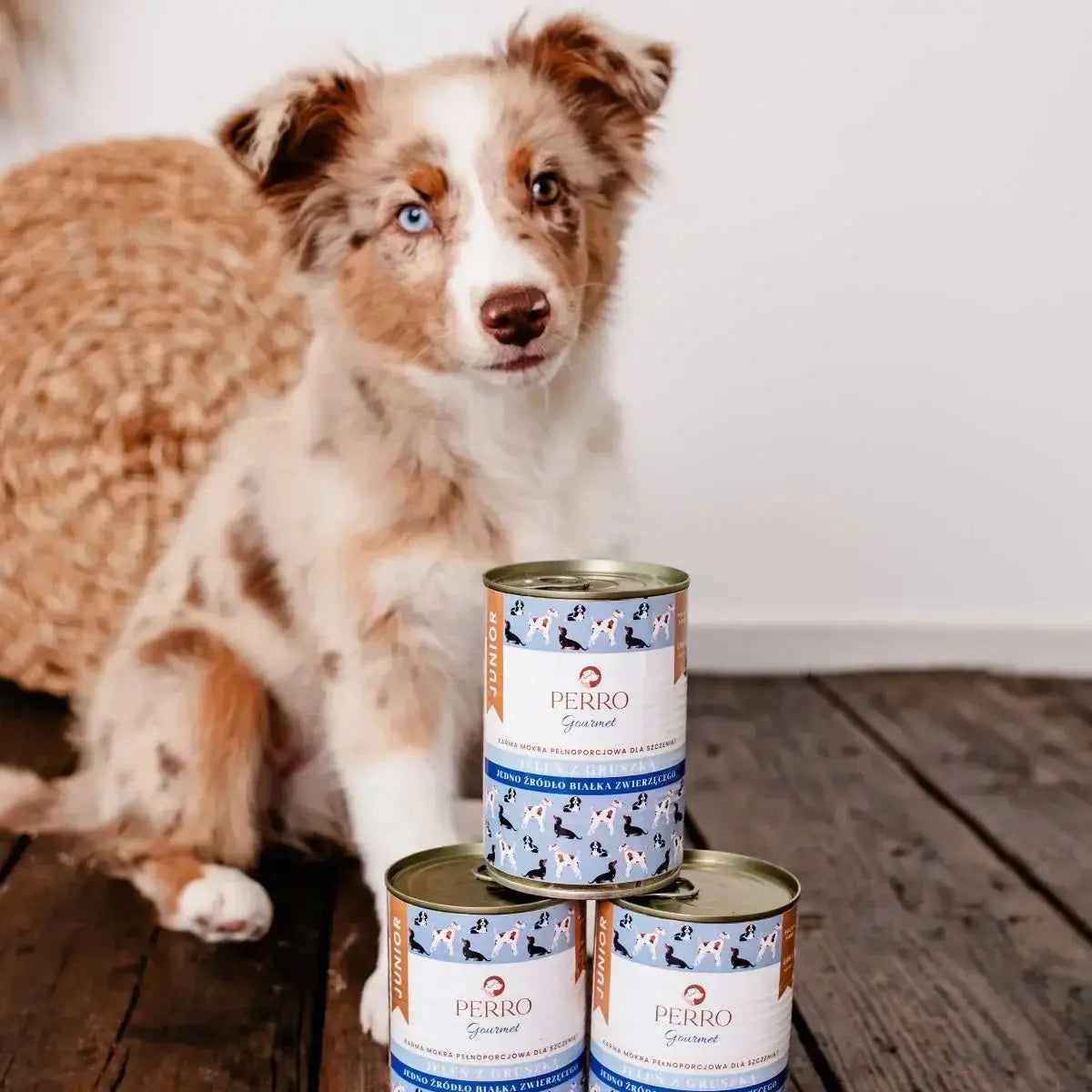 Alt Tag: Piesek stojący obok trzech puszek mokrej karmy dla szczeniąt PERRO Gourmet z jeleniem i gruszką na drewnianej podłodze.