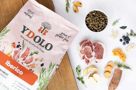 Torba karmy YDOLO Iberico, kawałki wieprzowiny Iberico, miska z karmą, owoce i zioła na białym tle, naturalne składniki