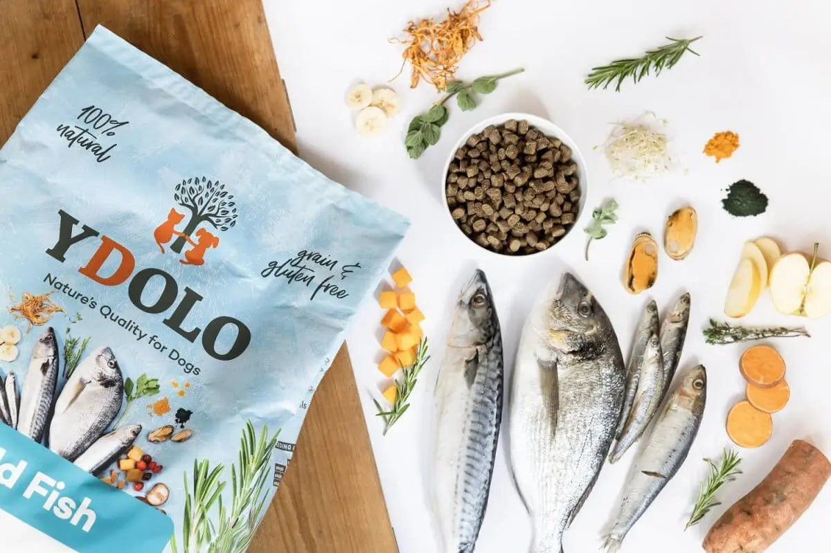 Opakowanie karmy YDOLO z rybammi, świeże sardynki, anchois, makrela, dorada, zioła i składniki odżywcze na białym tle.