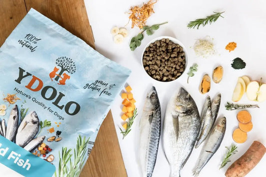 Opakowanie karmy YDOLO z rybammi, świeże sardynki, anchois, makrela, dorada, zioła i składniki odżywcze na białym tle.